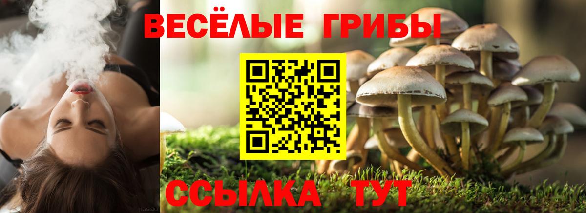 Лесозаводск  Псилоцибиновые грибы Magic Shrooms  Вход с VPN 